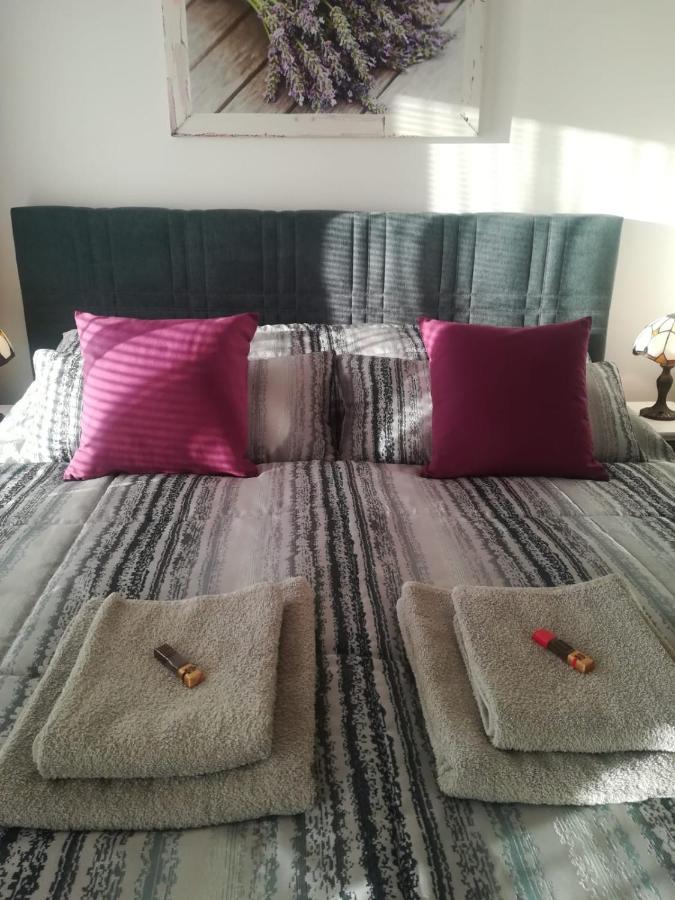 كارلوفي فاري B&B Violet المظهر الخارجي الصورة